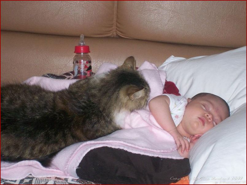 ChANtelle new PhoTos 013